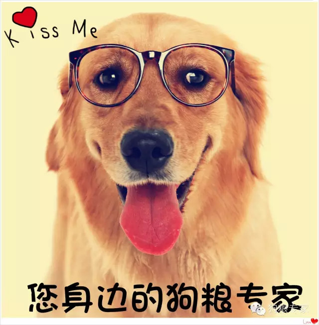 亚宠展现场采访,亚宠展进口猫粮