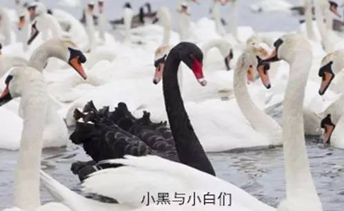 韩春雨谈重复实验失败,韩春雨常识思维