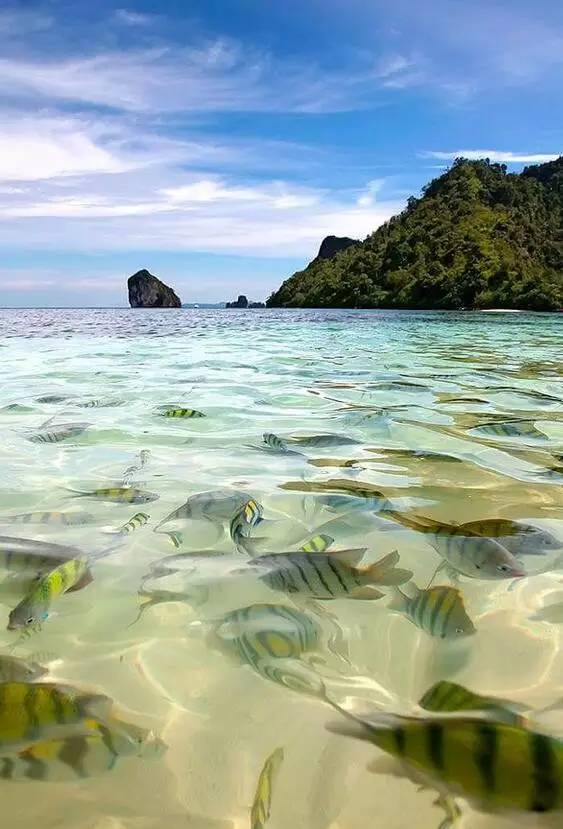 赶超埃尔法,赶超兰博基尼