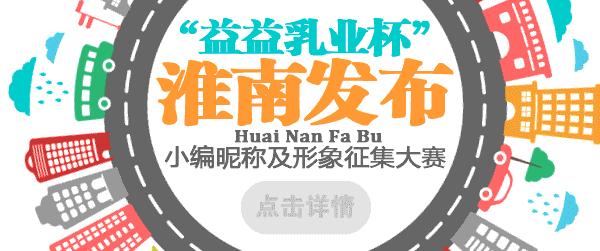 淮南读书,淮南人生活