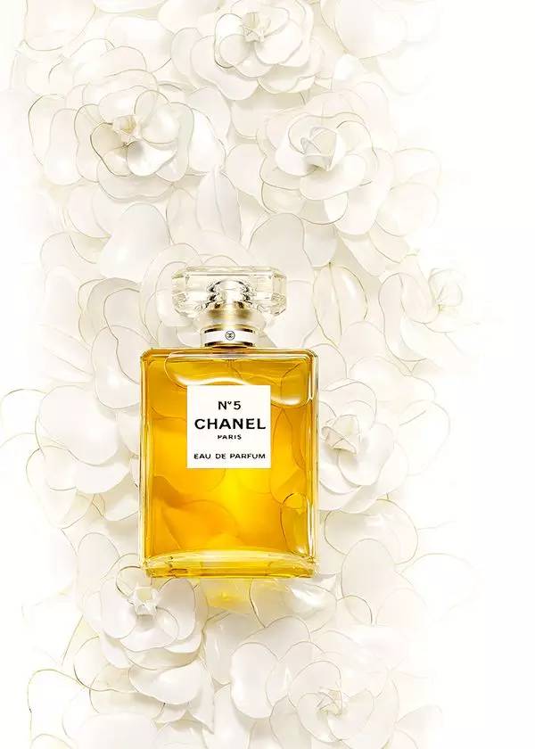 迷倒众生的7款花朵香水,女人如花花似梦全文免费阅读