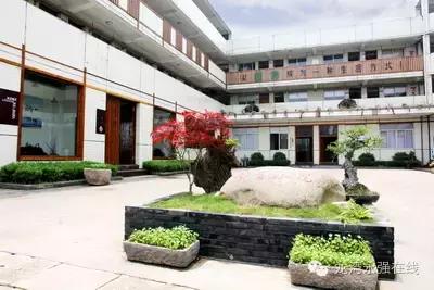 龙湾区有什么学校,龙湾公立学校排名