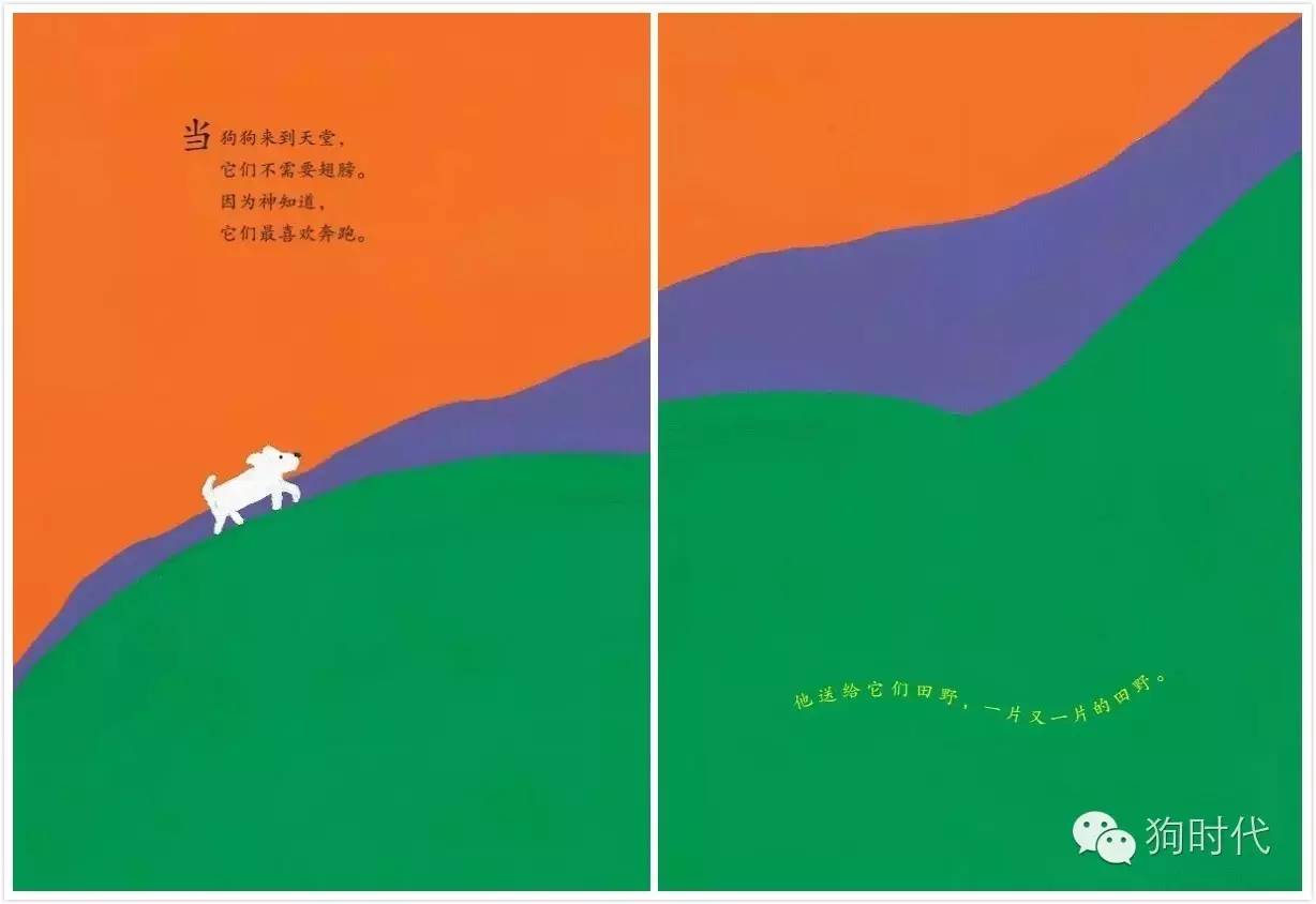 生个孩子养只猫和狗,生个孩子养只狗