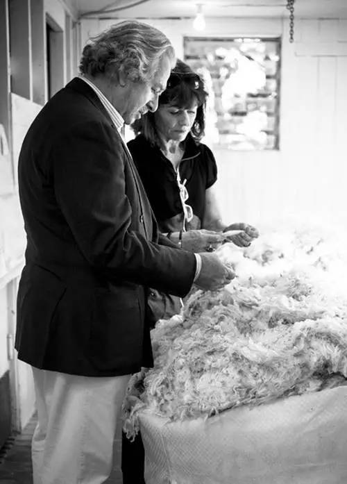 羊绒面料价格最贵多少,正宗的羊绒多少钱一斤啊