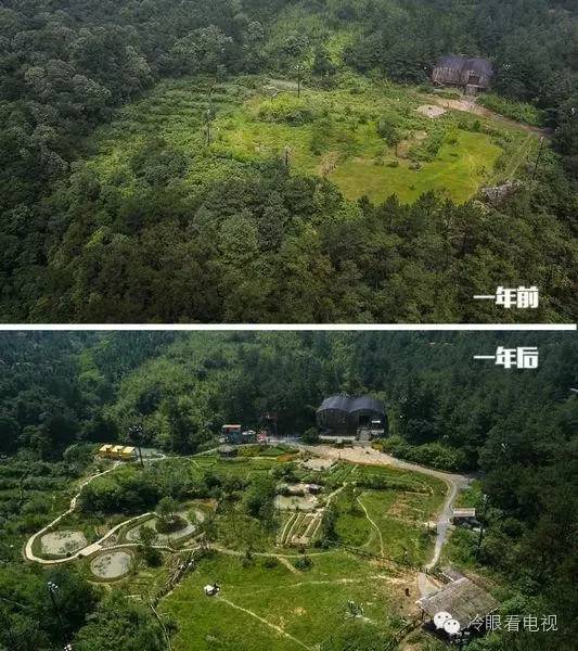 实验性艺术是什么,真人秀到底有多假