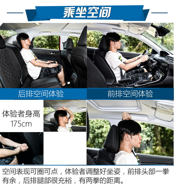 小狮子东风标致308s,小狮子变帅后的样子图片