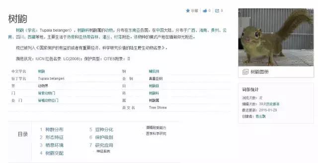 迷茫的时候静静下心来好好学习,哪些话可以让人摆脱负能量和迷茫