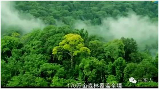 天然空调城，桂东被誉为世界上最大的空调