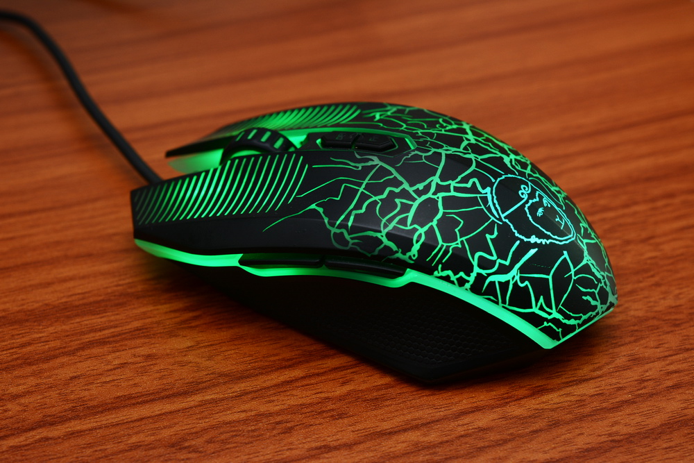 别管多少钱先拿来看看，今年要烧钱的猴年版装备