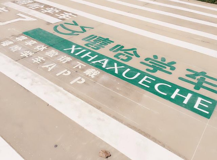 春天的驾校,驾校春天