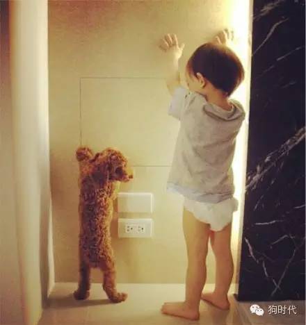 生个孩子养只猫和狗,生个孩子养只狗