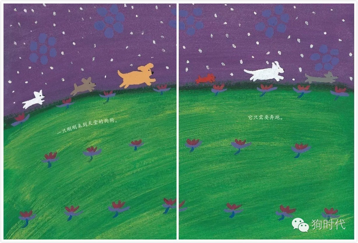 生个孩子养只猫和狗,生个孩子养只狗