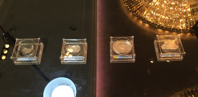 香港国际钱币展览会,2024香港国际金融博览会