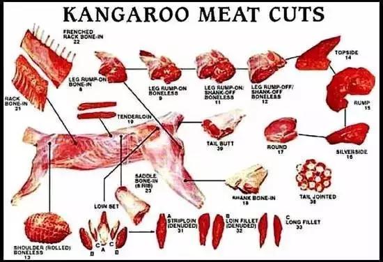出差要注意的东西,国外黑暗料理