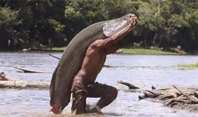 出差要注意的东西,国外黑暗料理