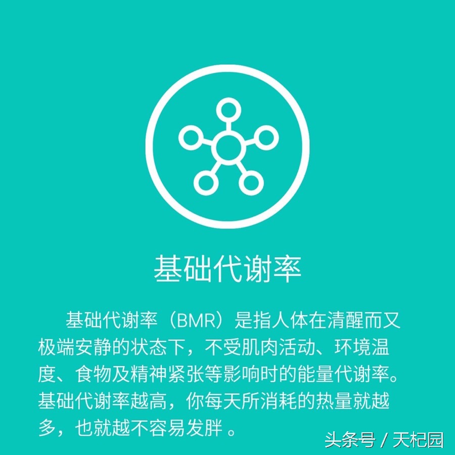 基础代谢对身体有哪些作用,基础代谢对减肥成功率