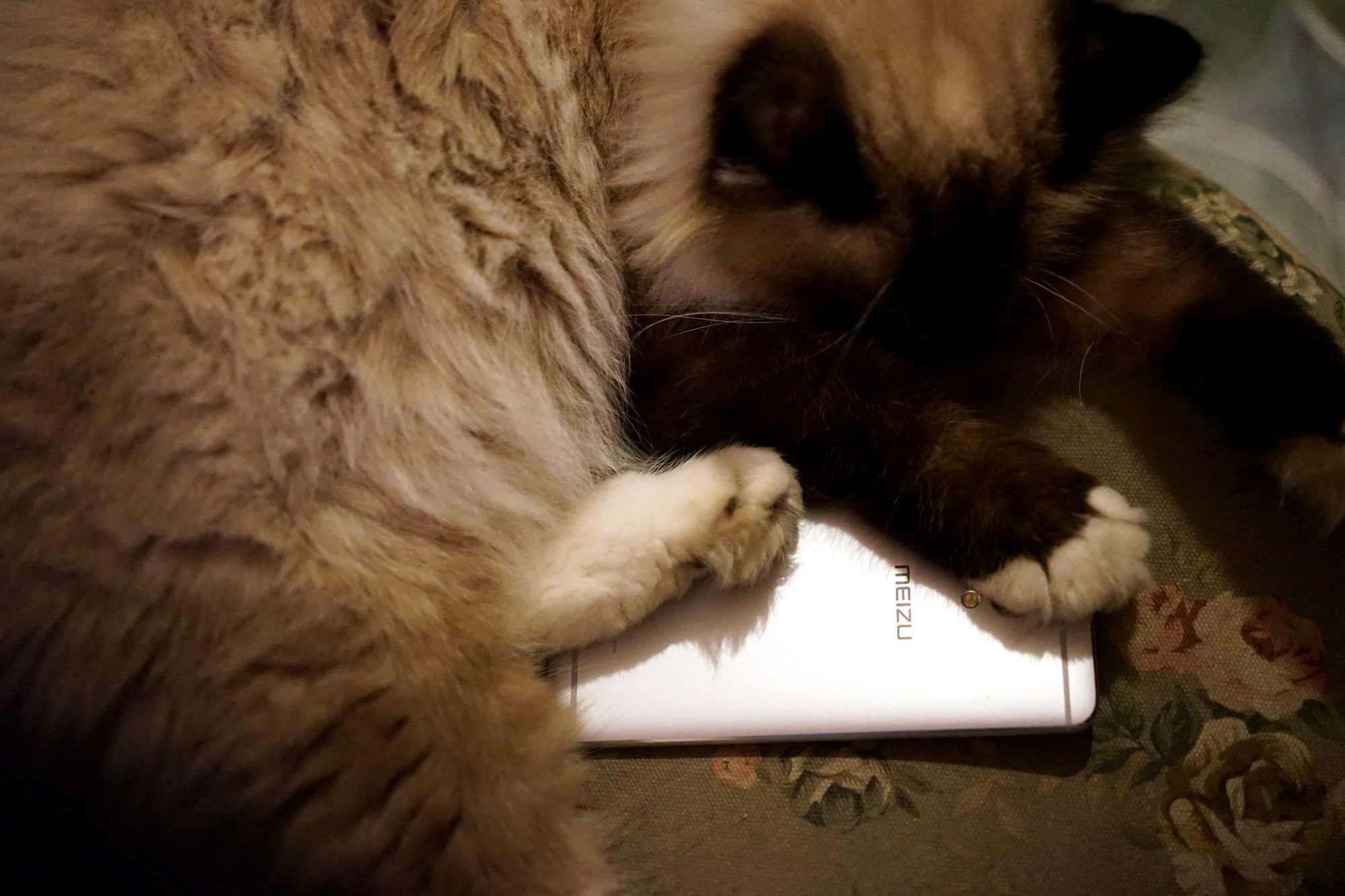 魅蓝e体验,魅蓝e怎么样呢