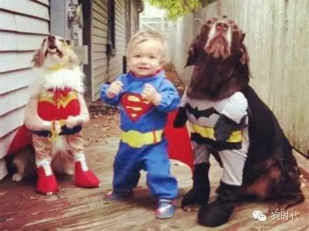 生个孩子养只猫和狗,生个孩子养只狗