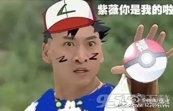 老中医蜂蜜系列,老中医秘制蜂蜜