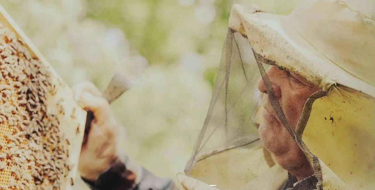 老中医蜂蜜系列,老中医秘制蜂蜜