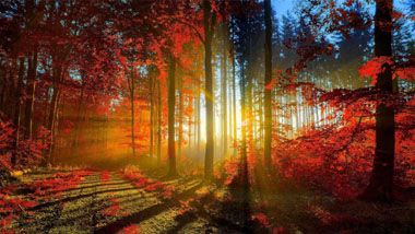 秋天印象,秋天的印象