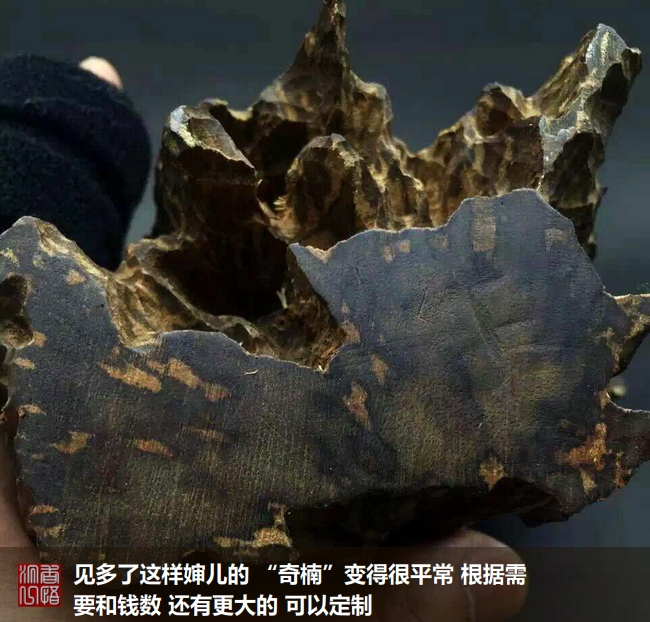 沉香初学者,沉香入门料