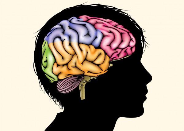 鼠神经生长因子18微克好还是20好,鼠神经因子对发育落后宝宝有用吗