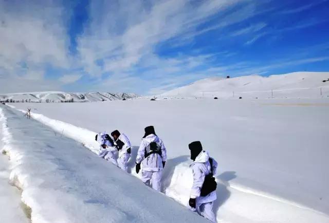 最美拥军人物个人事迹军属,江苏省最美拥军人物