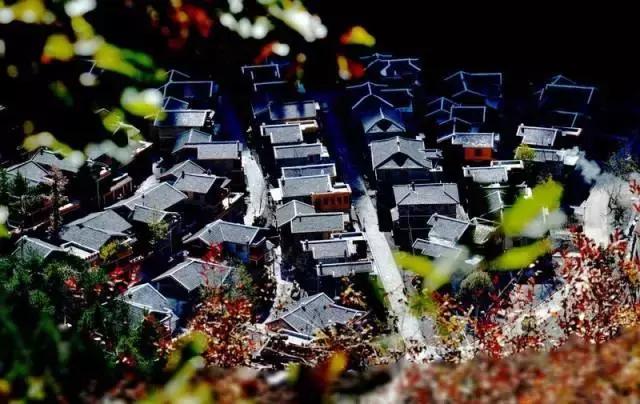 黑水彩林秘境,阿坝藏族羌族自治州黑水彩林