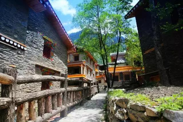 黑水彩林秘境,阿坝藏族羌族自治州黑水彩林