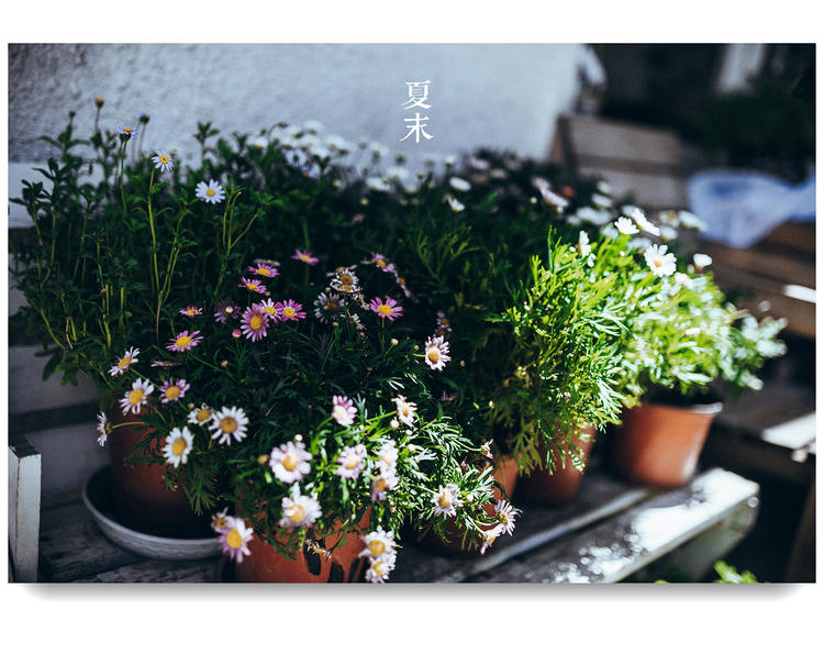 分享一款我一直在用的洗发水,使用了三年的洗发水确实挺好用