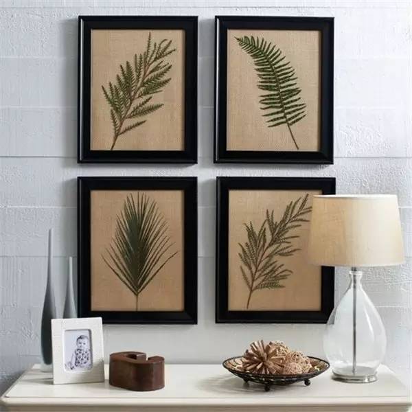 植物标本怎么装饰墙面 (植物标本室内装修挂件)