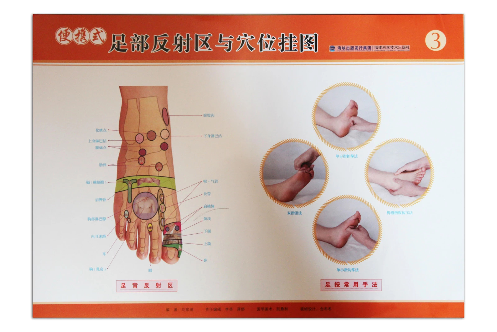 推拿好帮手，便携式足部穴位图