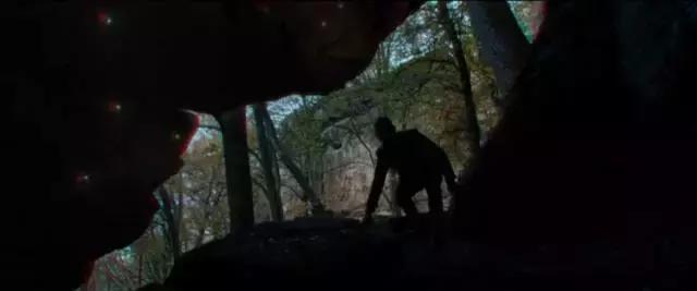 我丝毫不怀疑，这位导演曾来过云南尝过“毒蘑菇”