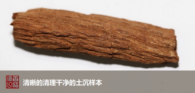 沉香初学者,沉香入门料