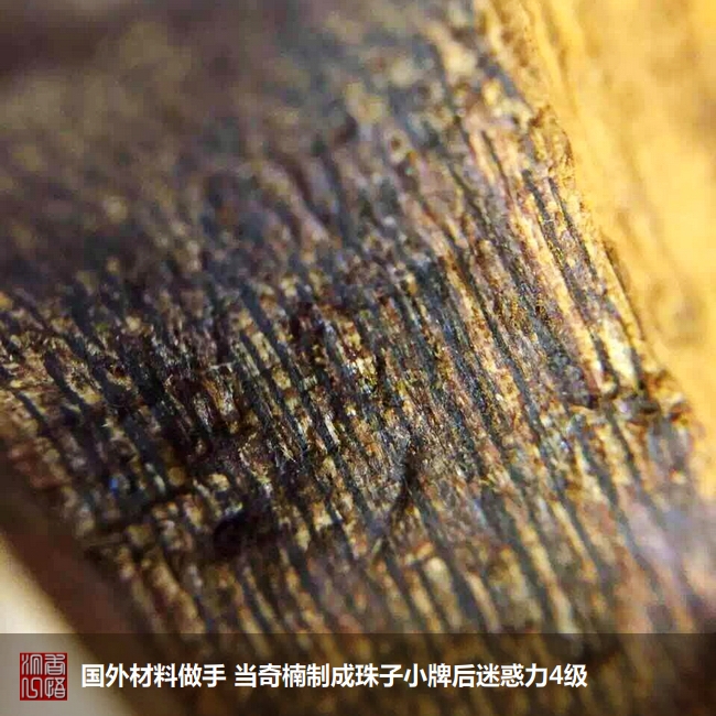 沉香初学者,沉香入门料