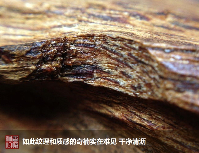 沉香初学者,沉香入门料