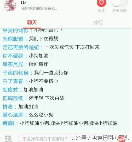 一“箭”失利成千古，小狗再遭无情黑，我们需要的是什么？