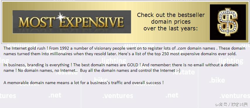 全球网址最贵的100个网址,世界上最贵的网站