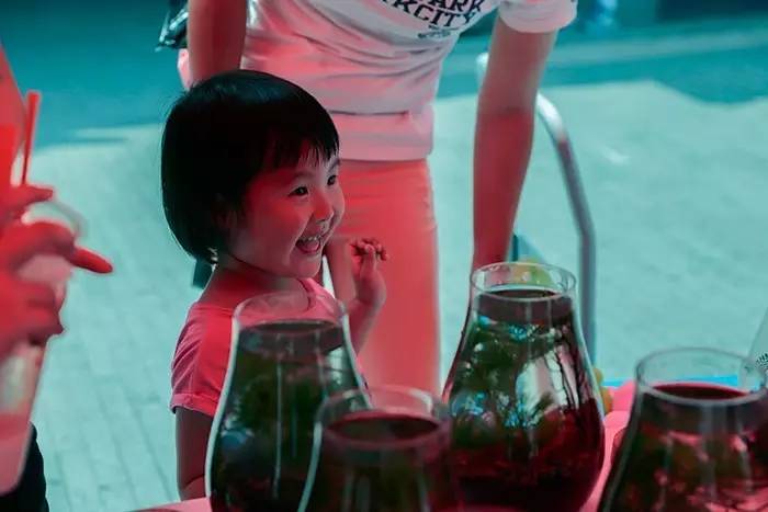 跟红斑马鱼一样好养的小热带鱼,红斑马鱼的正确养殖方法