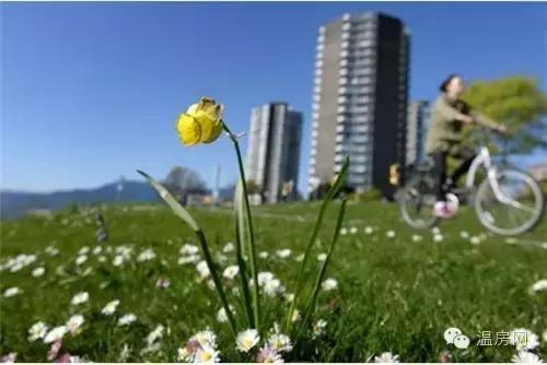 温哥华是什么样子,温哥华是个什么样的国家
