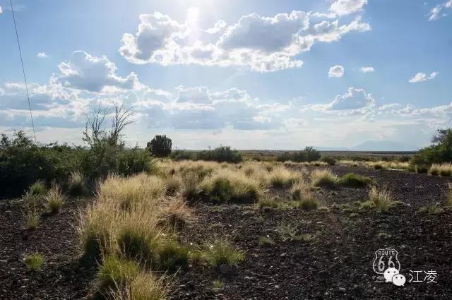 大写的服！这位四川女博士豁出去了，在美国一路“撒野”！