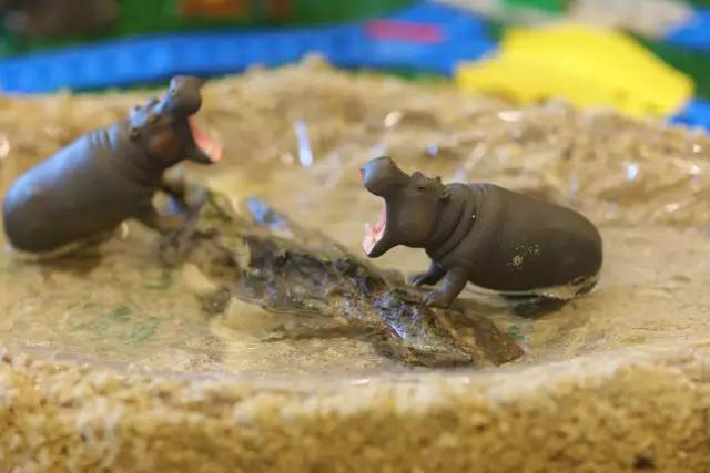 深圳jw万豪酒店婚宴大宴会厅,深圳jw万豪泳池价格