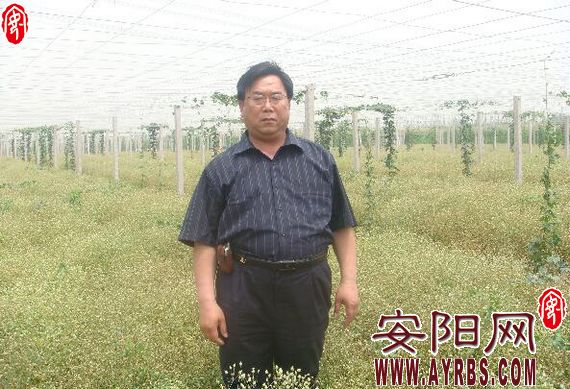 杨保成中铁,杨保成徒手夺刀