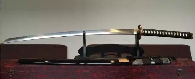 鲨鱼皮和珍珠鱼皮区别,冷知识鲸鲨