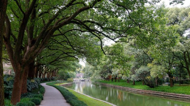探索上海,上海西郊宾馆地址