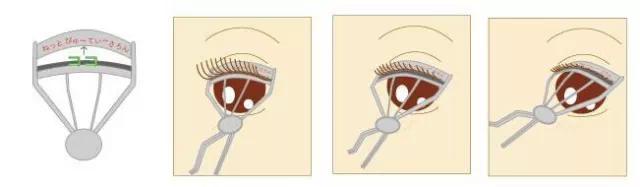自然妆的眼影正确化妆方法,眼妆教程日常化妆没有多少睫毛