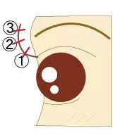 自然妆的眼影正确化妆方法,眼妆教程日常化妆没有多少睫毛