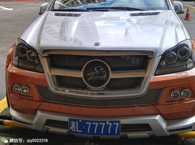 这车200多万谁信？改头换面总被人当成山寨车，车标太冷门