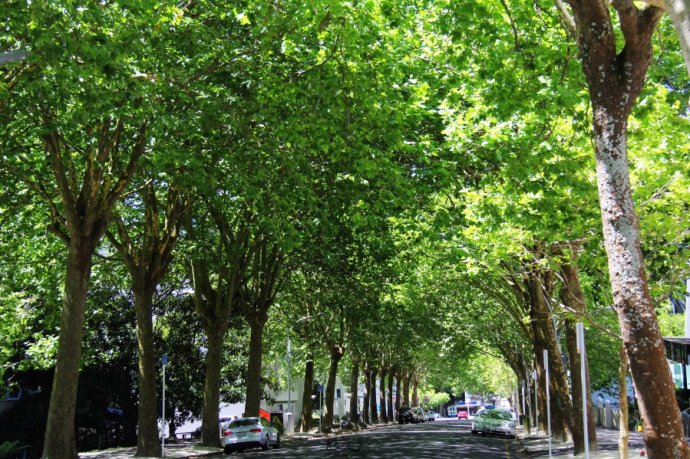 奥克兰天空城,奥克兰天空之塔攻略